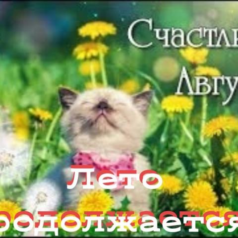 АВГУСТОВСКИЕ АКЦИИ | салон красоты Шале СПб